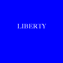[Liberty Flag of Schenectady]
